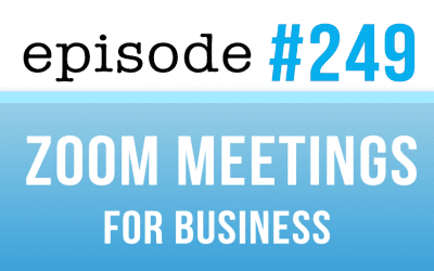 #249 Zoom Business Meetings in English