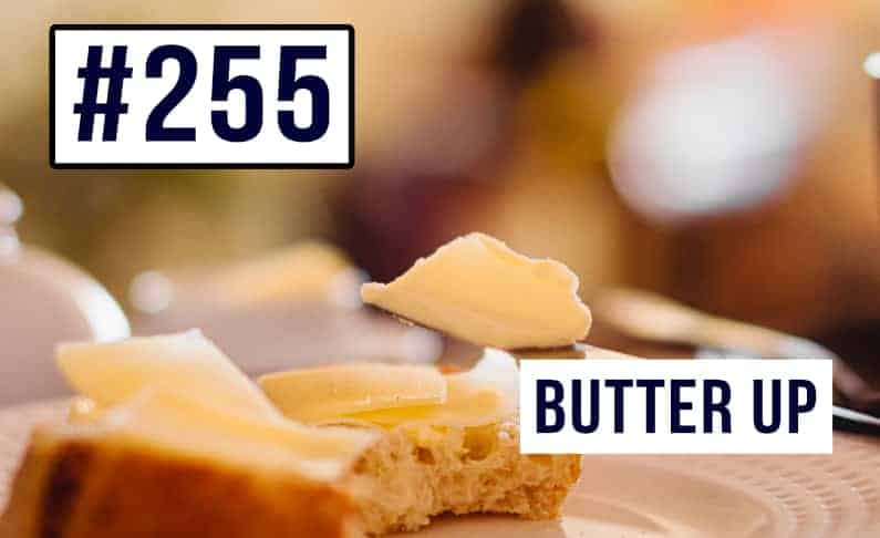 #255 Phrasal Verb – To Butter Up