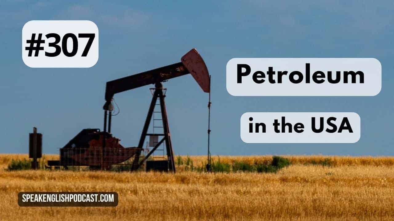 #307 Petroleum in the USA