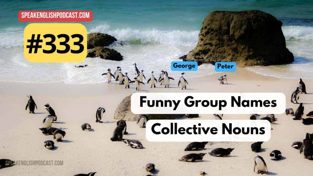 #333 Collective Nouns – Learn English with Funny Group Names