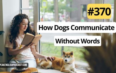 #370 How Dogs Communicate Emotions