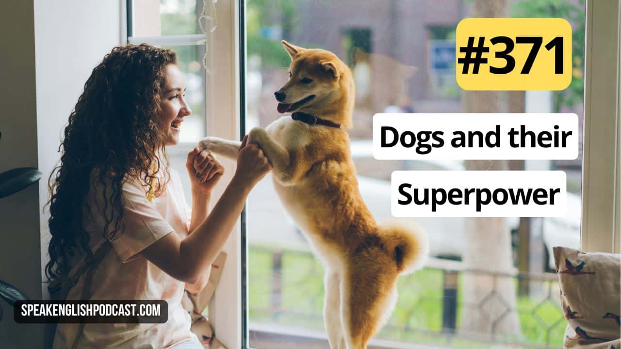 Dogs and their superpower