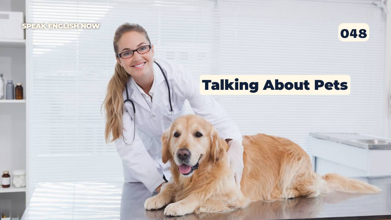 048 Talking About Pets