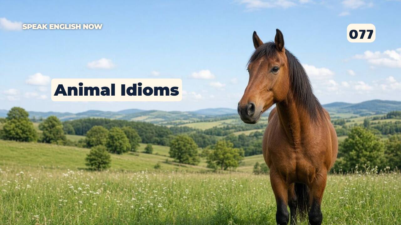 077 Animal Idioms