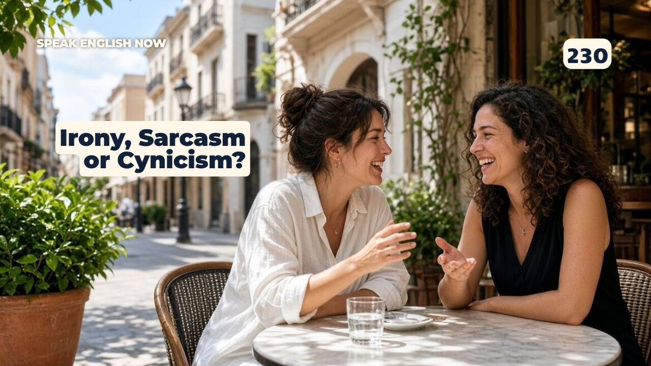 230 Irony, Sarcasm or Cynicism?