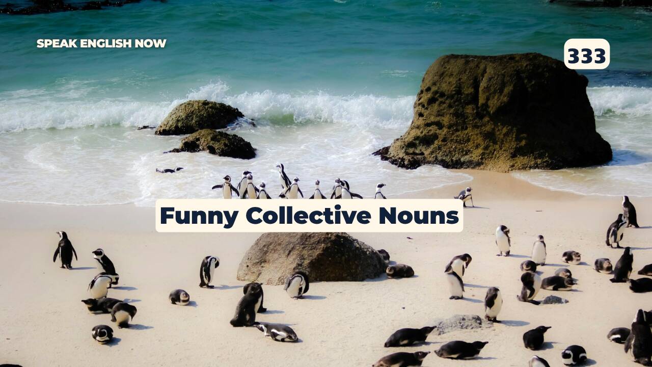 333 Funny Collective Nouns
