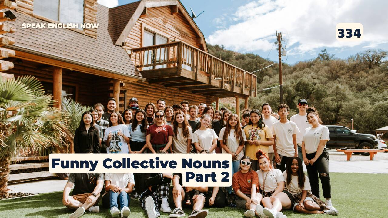 334 Funny Collective Nouns — Part 2