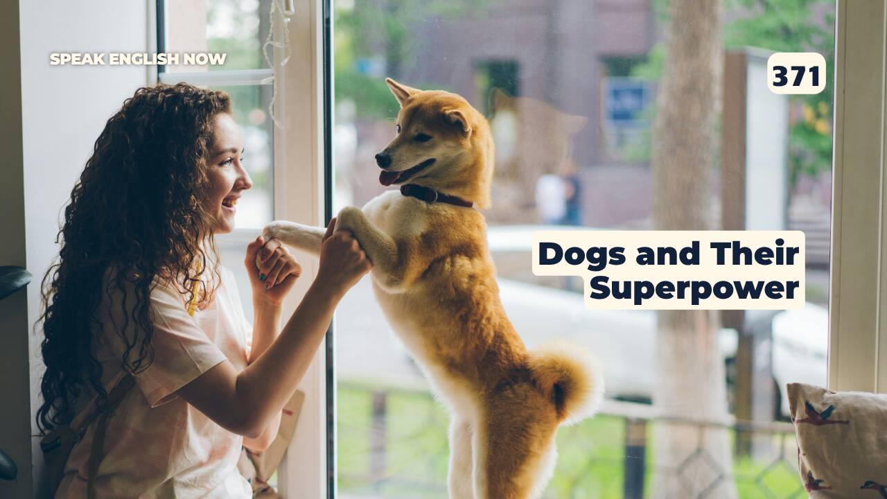 371 Dogs and Their Superpower